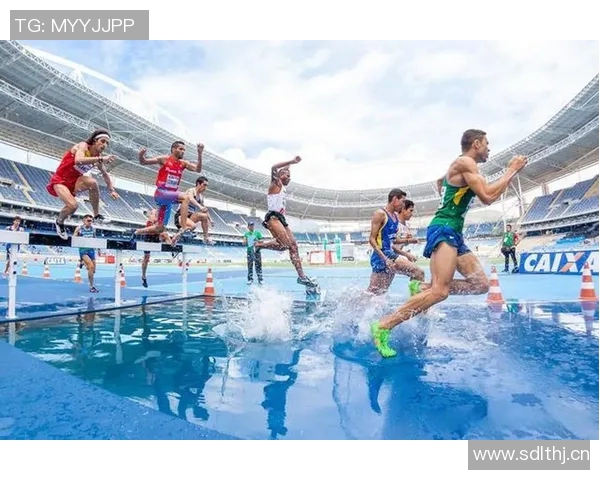 奥运会游泳项目技术动作标准化研究及其对竞技表现提升的影响分析 奥运会游泳项目技术动作标准化研究及其对竞技表现提升的影响分析