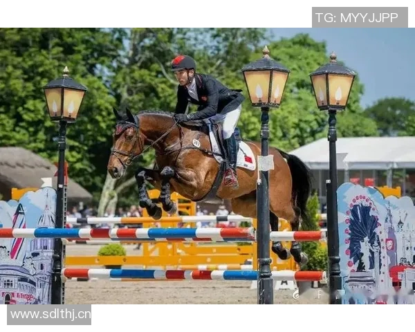 中国马术组合首战惊艳全场成功晋级奥运决赛展现非凡实力