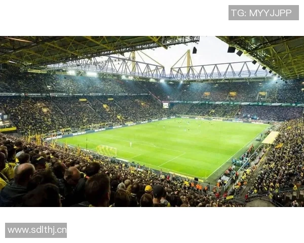 重磅！五大联赛或将缺席下一轮比赛